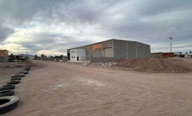 BODEGA URUS