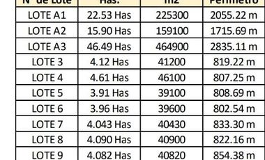 VENTA DE TERRENOS, 41200 M2, ZONIFICACION I4, POZO DE AGUA, ENERGÍA ELÉCTRICA, GAS