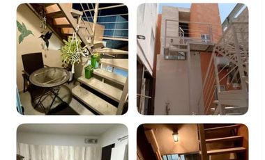 ESTUDIO ARBOLEDAS EN ZONA INDUSTRIAL  (PINOS) FRENTE AL IMSS #1