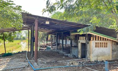 Farmhouse for Sale 4 Rai 1 Ngan 78.5 Sq.wah, Near Irrigation Canal