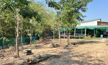 Farmhouse for Sale 4 Rai 1 Ngan 78.5 Sq.wah, Near Irrigation Canal
