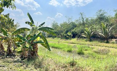 Farmhouse for Sale 4 Rai 1 Ngan 78.5 Sq.wah, Near Irrigation Canal