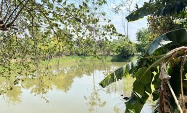 Farmhouse for Sale 4 Rai 1 Ngan 78.5 Sq.wah, Near Irrigation Canal