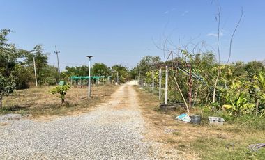 Farmhouse for Sale 4 Rai 1 Ngan 78.5 Sq.wah, Near Irrigation Canal
