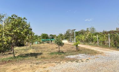 Farmhouse for Sale 4 Rai 1 Ngan 78.5 Sq.wah, Near Irrigation Canal