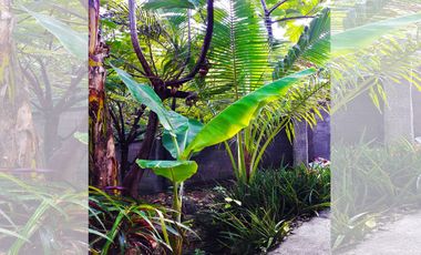 Residential Villa on commercial Lot for Sale
