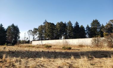 TERRENO EN RENTA O VENTA EN CARR A TEXOLOC