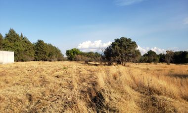 TERRENO EN RENTA O VENTA EN CARR A TEXOLOC