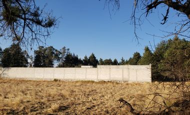 TERRENO EN RENTA O VENTA EN CARR A TEXOLOC