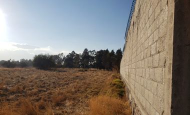 TERRENO EN RENTA O VENTA EN CARR A TEXOLOC