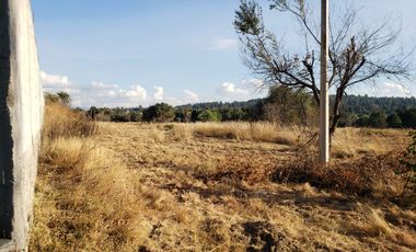 TERRENO EN RENTA O VENTA EN CARR A TEXOLOC