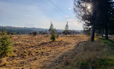 TERRENO EN RENTA O VENTA EN CARR A TEXOLOC