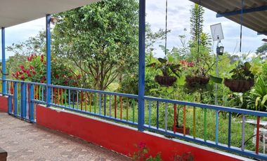 VENTA FINCA A 15 MINUTOS DE QUIMBAYA - QUINDIO.