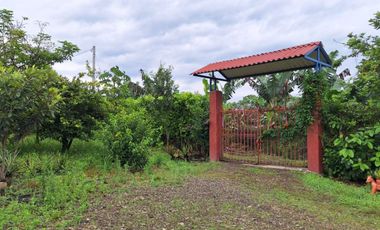 VENTA FINCA A 15 MINUTOS DE QUIMBAYA - QUINDIO.