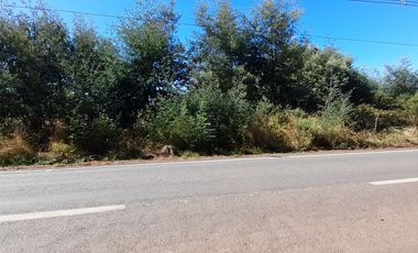 Terreno Sector Pillanlelbun