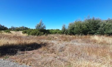 Terreno Sector Pillanlelbun