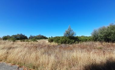Terreno Sector Pillanlelbun