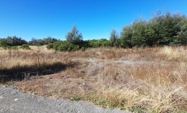 Terreno Sector Pillanlelbun