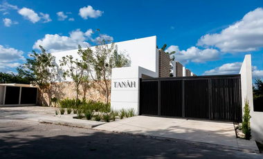 Casa del Árbol con jacuzzi en Temozón Norte