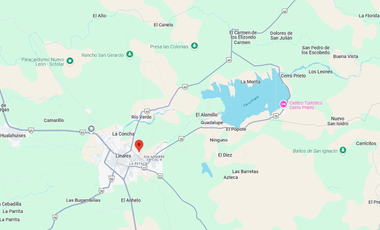 Casa en Venta; REMATE BANCARIO !!; C. GERANIOS, RESIDENCIAL HACIENDA LOS LINARES, LINARES, NUEVO LEÓN