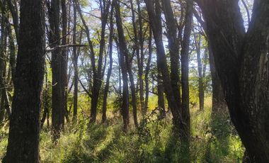 ¡101 m2 de Casa Nueva donde el paisaje se convierte en parte de tu vida!