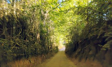 Casa en Parcela a 30 minutos de Villarrica - Huellanto Alto.