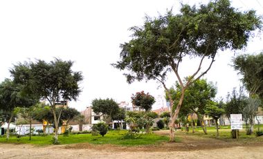 🏡 ¡EXCLUSIVO TERRENO FRENTE A PARQUE EN VENTA EN SMP – UBICACIÓN PRIVILEGIADA! 🌳