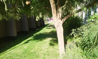 ARRIENDO EXCELENTE DEPTO 2 DORMITORIOS 1 BAÑO EN VILLASANA 1451