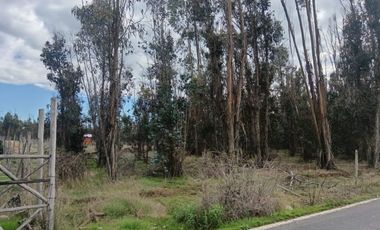 Oportunidad UNICA Parcela de 5000 m2 en LITUECHE