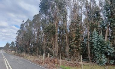 Oportunidad UNICA Parcela de 5000 m2 en LITUECHE