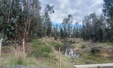 Oportunidad UNICA Parcela de 5000 m2 en LITUECHE