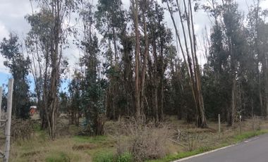 Oportunidad UNICA Parcela de 5000 m2 en LITUECHE