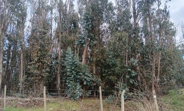 Oportunidad UNICA Parcela de 5000 m2 en LITUECHE