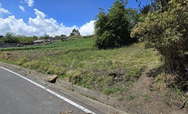 TERRENO EN TISALEO