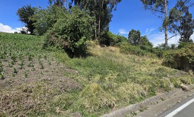 TERRENO EN TISALEO