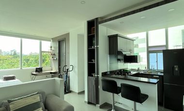 APARTA ESTUDIO AMOBLADO EN VENTA - PARQUE LA ELECTRIFICADORA