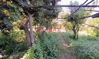 Se Vende Casa De Campo De 1.5 Ha En Salas Guadalupe