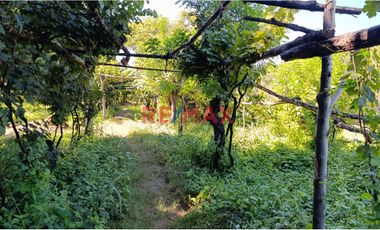 Se Vende Casa De Campo De 1.5 Ha En Salas Guadalupe