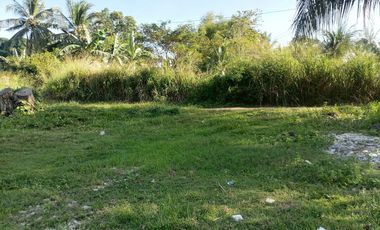 LOT FOR SALE IN DUMAGUETE CITY ID 14978