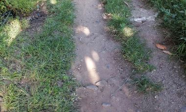 LOT FOR SALE IN DUMAGUETE CITY ID 14978