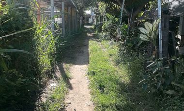LOT FOR SALE IN DUMAGUETE CITY ID 14978