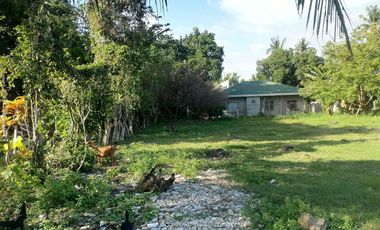 LOT FOR SALE IN DUMAGUETE CITY ID 14978