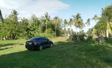 LOT FOR SALE IN DUMAGUETE CITY ID 14978