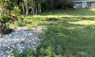 LOT FOR SALE IN DUMAGUETE CITY ID 14978
