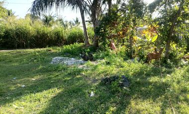 LOT FOR SALE IN DUMAGUETE CITY ID 14978