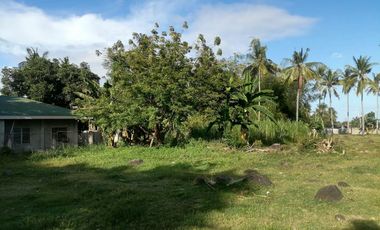 LOT FOR SALE IN DUMAGUETE CITY ID 14978