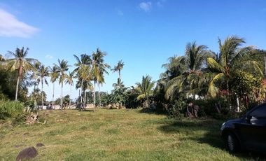 LOT FOR SALE IN DUMAGUETE CITY ID 14978