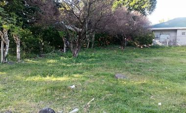 LOT FOR SALE IN DUMAGUETE CITY ID 14978