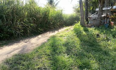 LOT FOR SALE IN DUMAGUETE CITY ID 14978