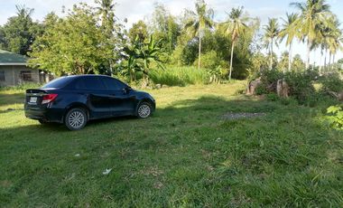 LOT FOR SALE IN DUMAGUETE CITY ID 14978